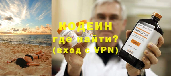 дживик Ельня