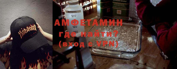 дживик Ельня