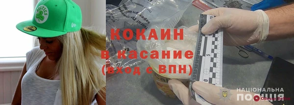 тгк Дмитриев