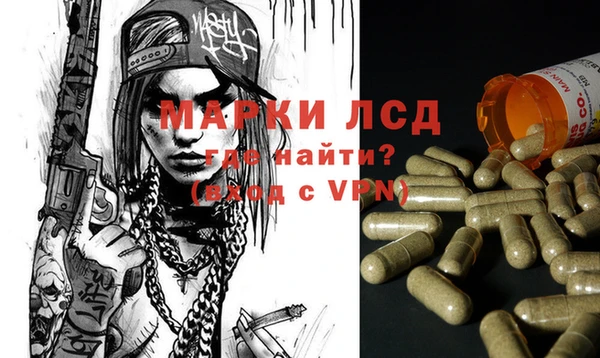 mdpv Елизово