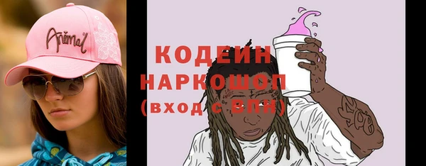 тгк Дмитриев