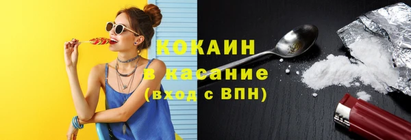 mdpv Елизово