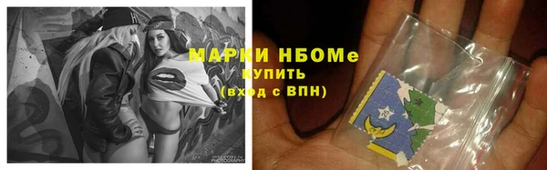 дживик Ельня