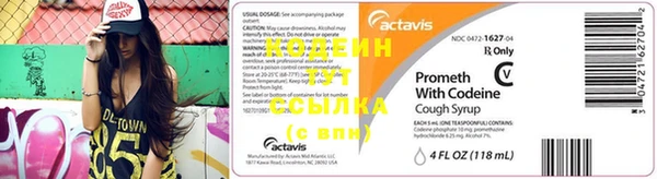 прущие грибы Дмитров