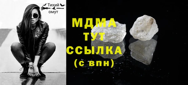 дживик Ельня