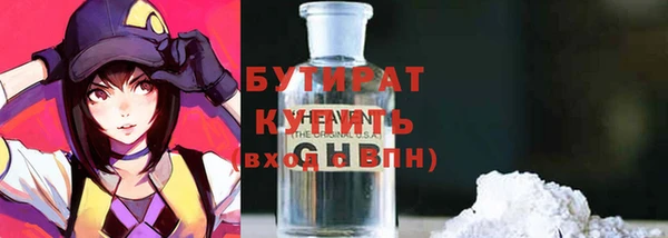 тгк Дмитриев