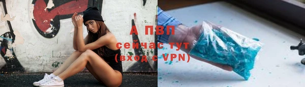 тгк Дмитриев