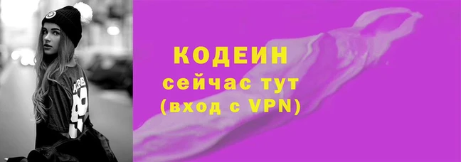 дживик Ельня