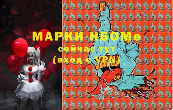 дживик Ельня