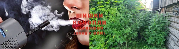 дживик Ельня