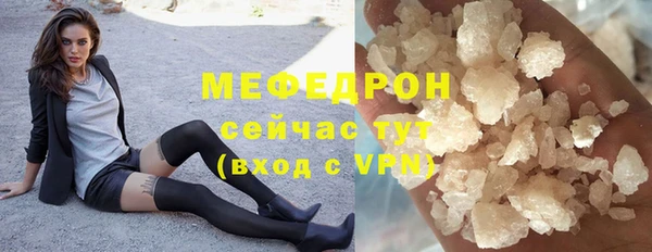 дживик Ельня