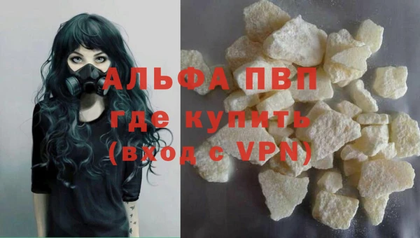 прущие грибы Дмитров