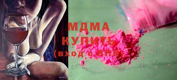 дживик Ельня