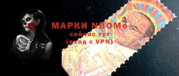 дживик Ельня