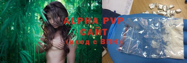 mdpv Елизово