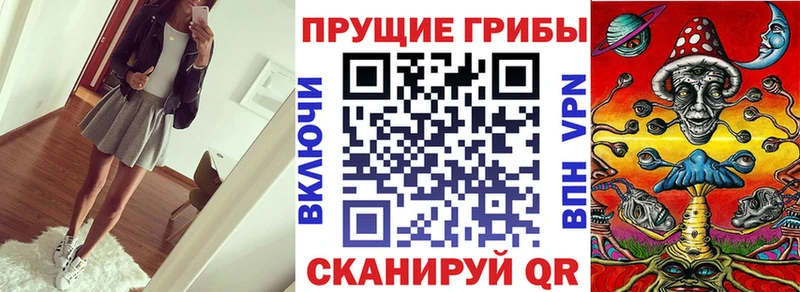 купить наркоту  ссылка на мегу ССЫЛКА  Псилоцибиновые грибы Magic Shrooms  Дальнереченск 